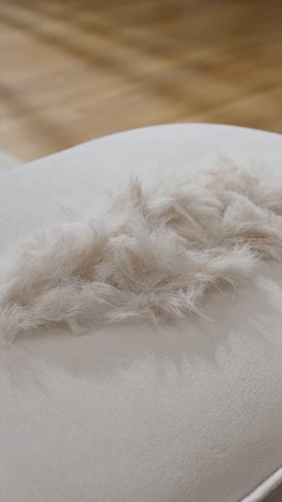 Charger la vidéo : 